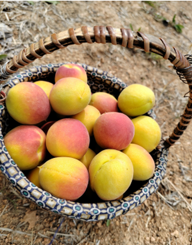 20240620112314 20240620112314