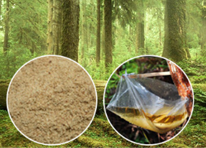 20240402162711 20240402162711